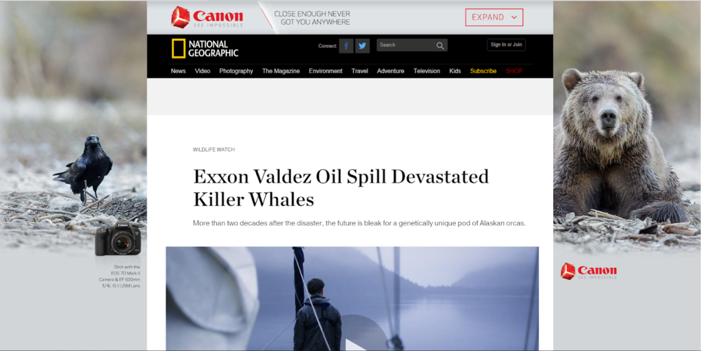 Screenshot of article about Exxon Valdez oil spill with ad for Canon showing animals covered in oil
